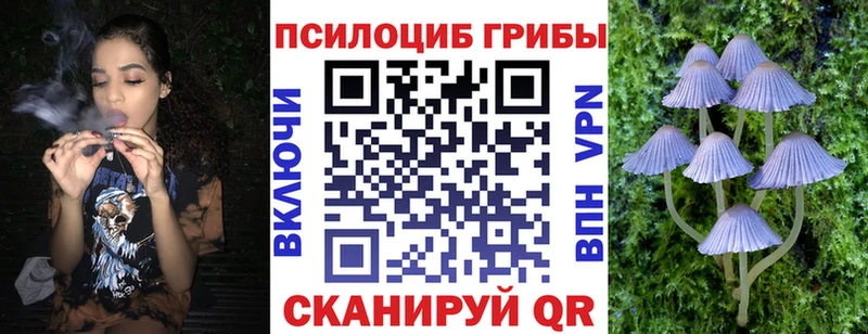 Псилоцибиновые грибы MAGIC MUSHROOMS  Сертолово 